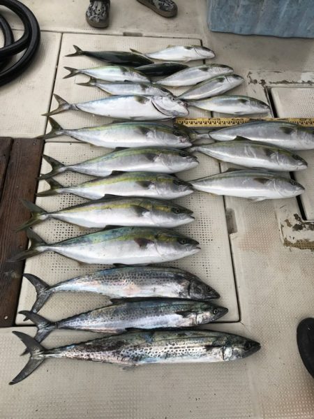 釣り船角田 釣果