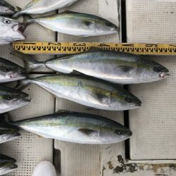 釣り船角田 釣果