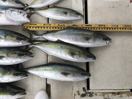 釣り船角田 釣果