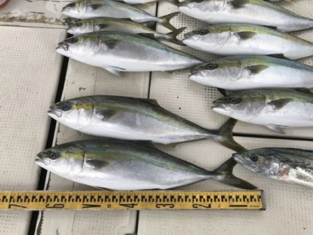 釣り船角田 釣果