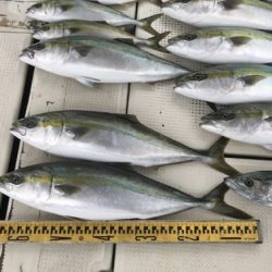 釣り船角田 釣果