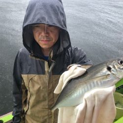 深川　吉野屋 釣果