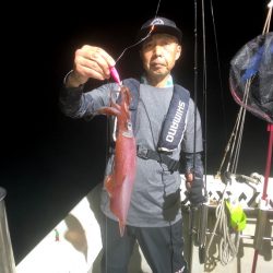 オーシャンズ　京都 釣果