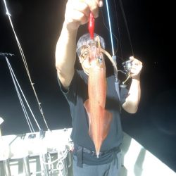 オーシャンズ　京都 釣果