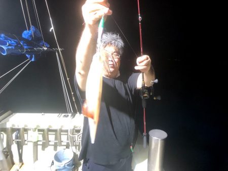 オーシャンズ　京都 釣果