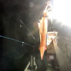 オーシャンズ　京都 釣果