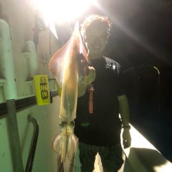 オーシャンズ　京都 釣果