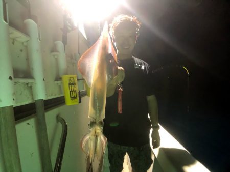 オーシャンズ　京都 釣果