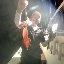 オーシャンズ　京都 釣果