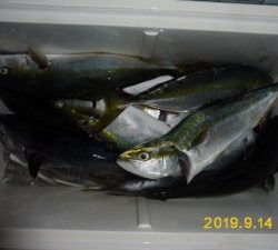 功成丸 釣果