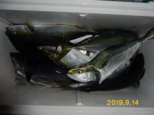 功成丸 釣果