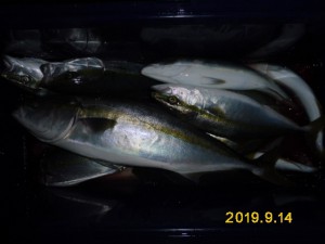 功成丸 釣果