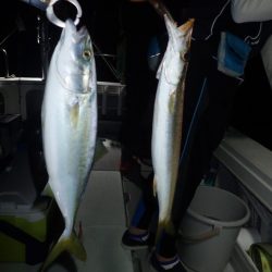 Aquanaut(アクアノート) 釣果