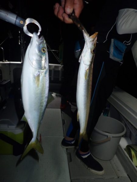 Aquanaut(アクアノート) 釣果