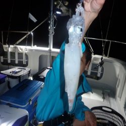 Aquanaut(アクアノート) 釣果