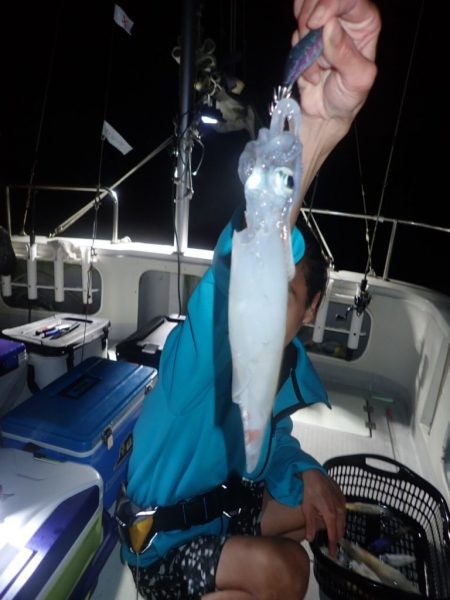 Aquanaut(アクアノート) 釣果