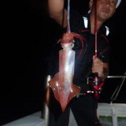 Aquanaut（アクアノート） 釣果