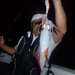 Aquanaut（アクアノート） 釣果