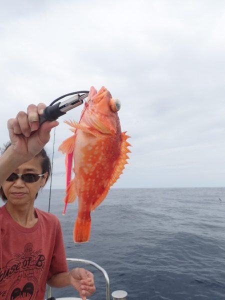 Aquanaut(アクアノート) 釣果