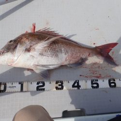 Aquanaut(アクアノート) 釣果