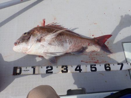 Aquanaut(アクアノート) 釣果