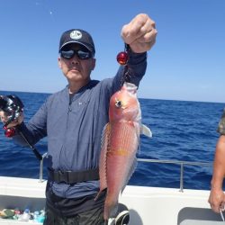 Aquanaut(アクアノート) 釣果