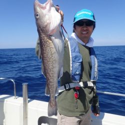 Aquanaut(アクアノート) 釣果