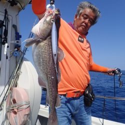 Aquanaut(アクアノート) 釣果