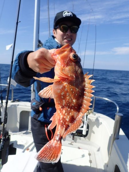 Aquanaut(アクアノート) 釣果