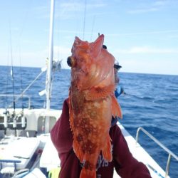 Aquanaut(アクアノート) 釣果