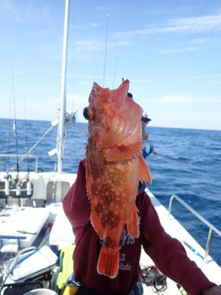 Aquanaut(アクアノート) 釣果