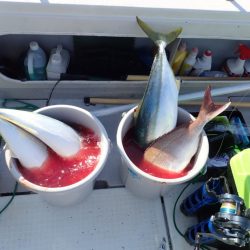 Aquanaut(アクアノート) 釣果