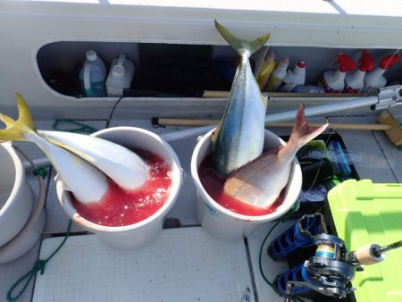 Aquanaut(アクアノート) 釣果