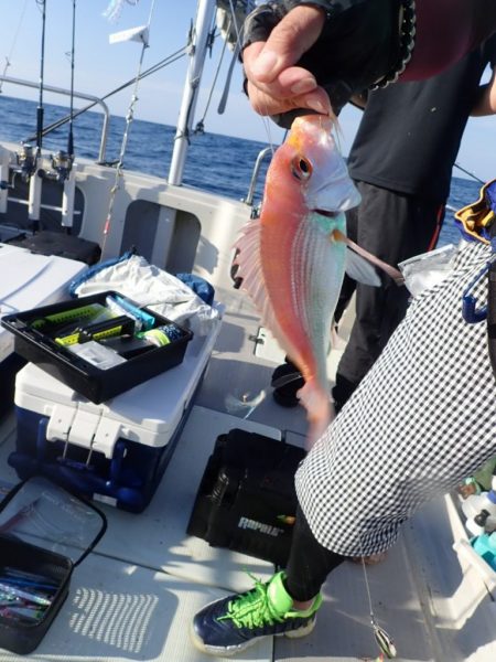 Aquanaut(アクアノート) 釣果