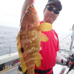 Aquanaut(アクアノート) 釣果