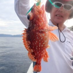 Aquanaut(アクアノート) 釣果