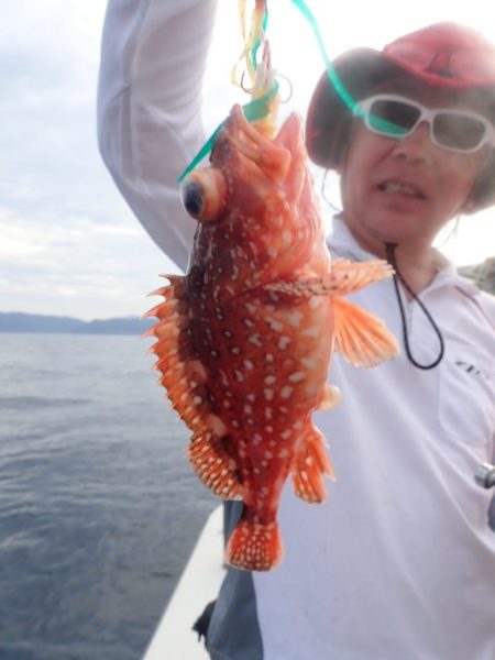 Aquanaut(アクアノート) 釣果