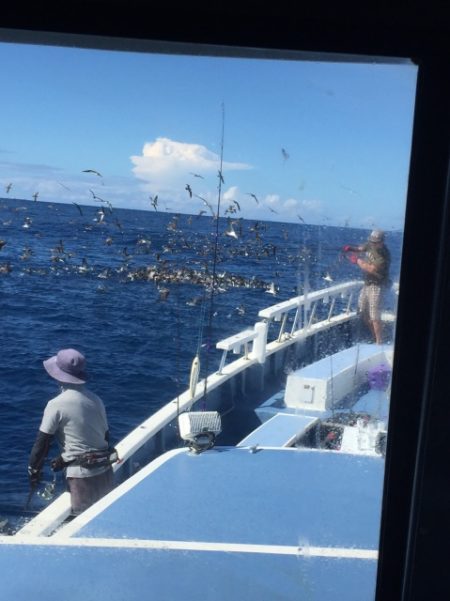 松栄丸 釣果