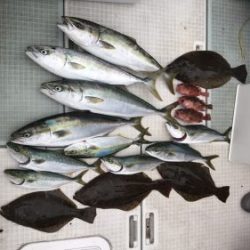 さぶろう丸 釣果