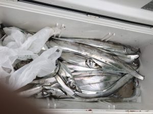 さぶろう丸 釣果