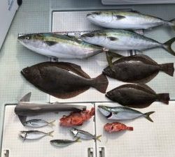 さぶろう丸 釣果