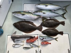 さぶろう丸 釣果