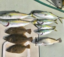 さぶろう丸 釣果