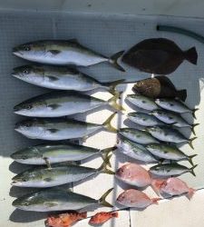 さぶろう丸 釣果