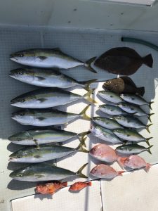 さぶろう丸 釣果