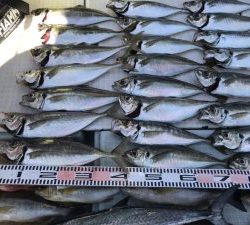 さぶろう丸 釣果