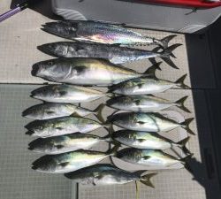 さぶろう丸 釣果