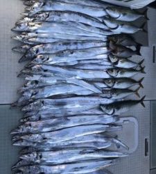 さぶろう丸 釣果