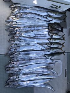 さぶろう丸 釣果