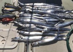 さぶろう丸 釣果